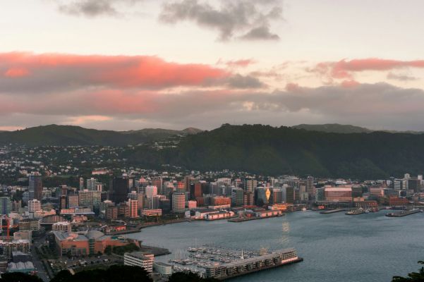 July-2024-Wellington-Harbour